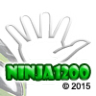 NINJA1200