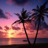 TropicalSunset