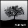 sesc