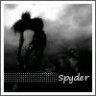 spyder